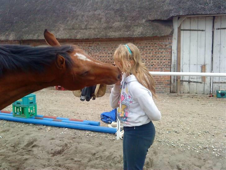 Anden særlig race San Diego - kys kys :* ... hvor jeg elsker ham :´)<3    *Foto:Janine* billede 5