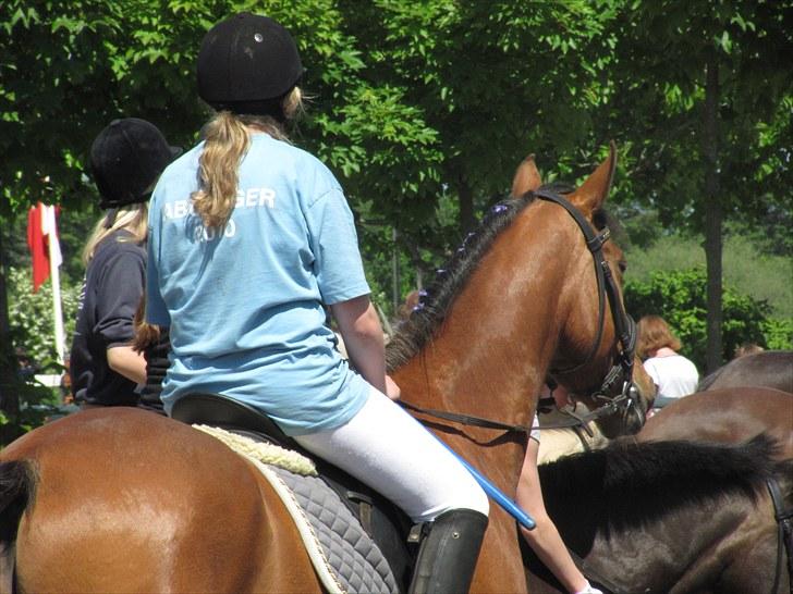 Anden særlig race San Diego - (´: <3   *Foto:Carola* billede 6