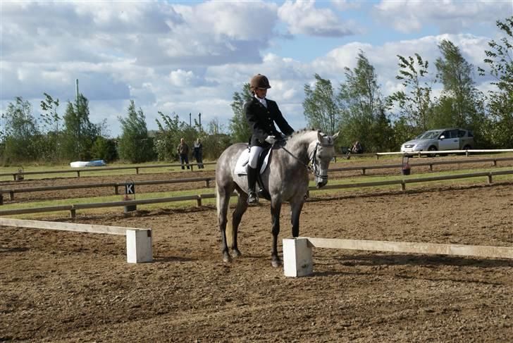 DSP MÅLUND'S MINI-MAJ - SJM hold 2009 billede 16