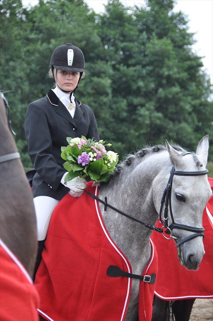 DSP MÅLUND'S MINI-MAJ - SJM hold 2010 hvor vi vandt billede 8