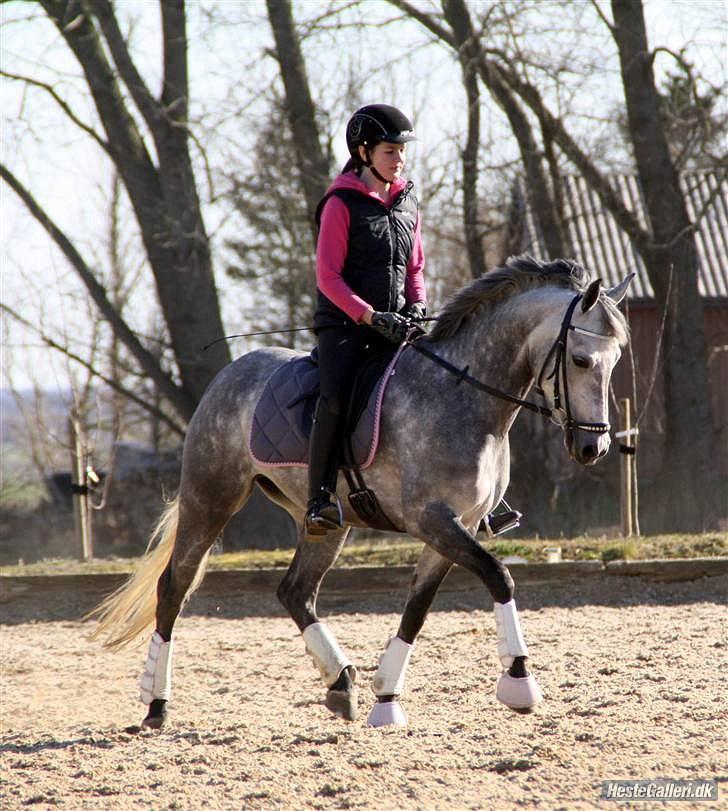 DSP MÅLUND'S MINI-MAJ billede 17