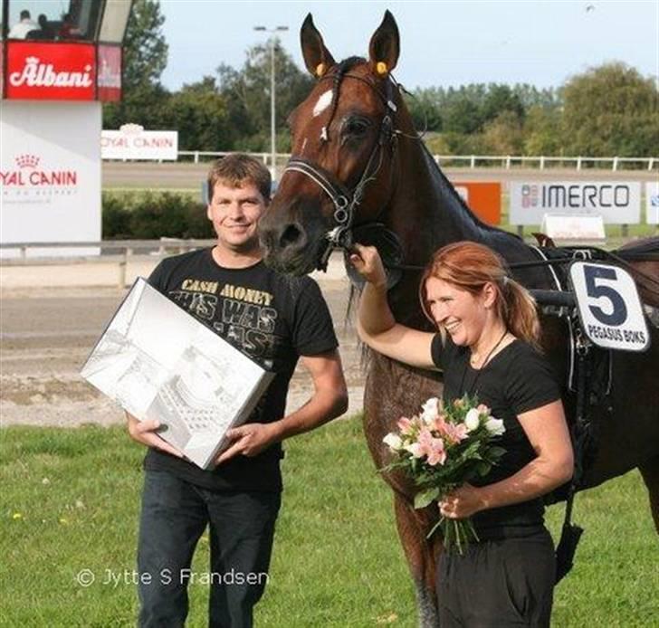 Traver Schimansky *passer* SOLGT billede 7