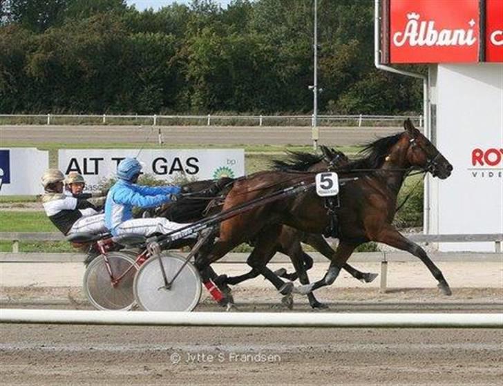 Traver Schimansky *passer* SOLGT billede 8