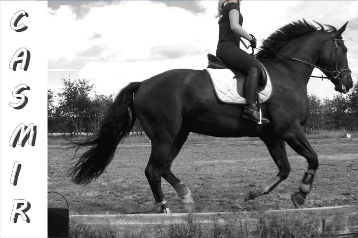 Anden særlig race Casmir <3RIP13 - Gallop udenfor på efterskolen <3 billede 13