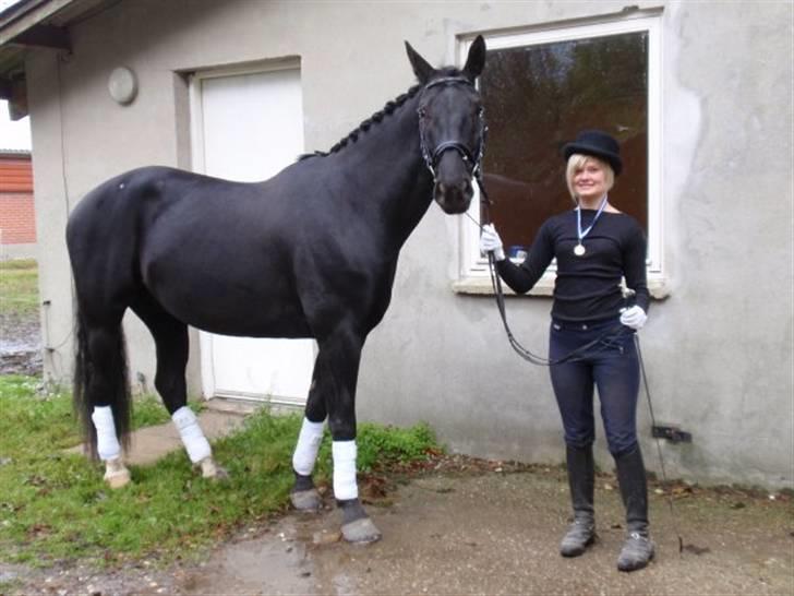 Anden særlig race Casmir <3RIP13 - den lille hest er blevet shinet op, og ligner en million <3 billede 14