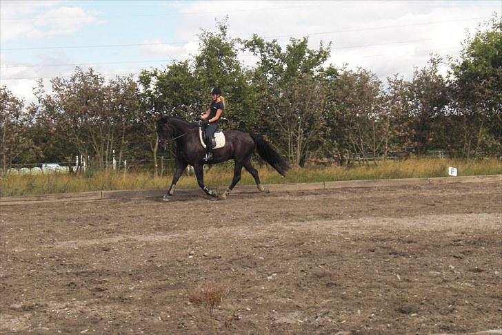 Anden særlig race Casmir <3RIP13 - tarv udenfor på efterskolen <3 billede 15