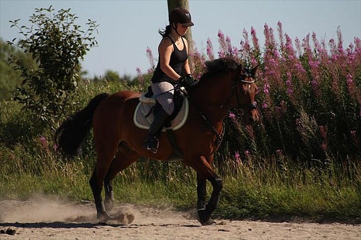 Anden særlig race Frederik Eliselund.<3 - Frederik Eliselund.<3 billede 10
