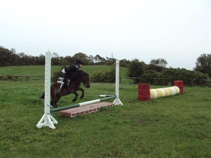 Anden særlig race Musse - Rideskole pony - Mig og Musse Springer kassen :D - Hun bliver bedre og bedre. billede 10