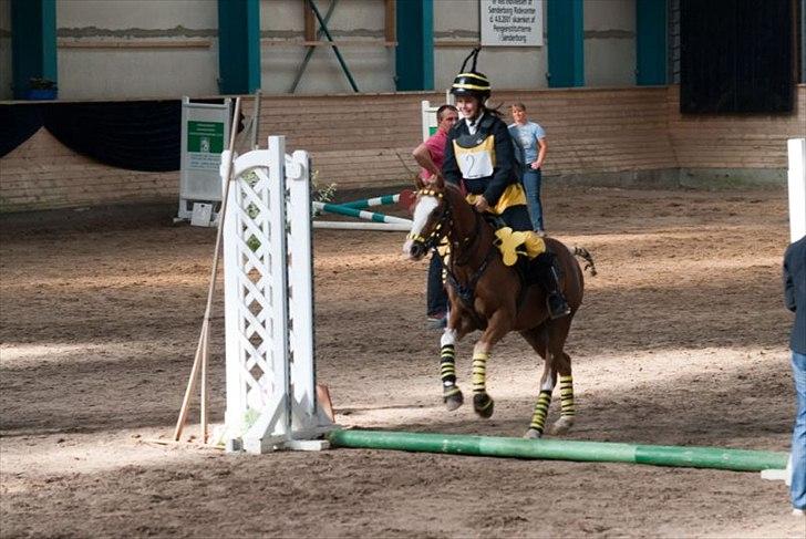 Welsh Pony (sec B) CeltonAristides *solgt* - Sønderborg Show Stævne kosume spring vi er bierne :-) billede 5