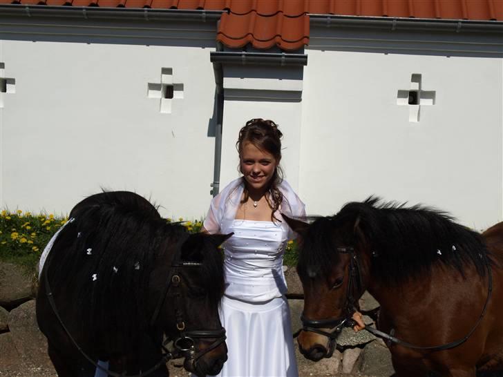 Anden særlig race Flicka (fundet igen) - til min konfirmation(; flicka&mig&tulle<3 pigerne var så søde at komme med ponyerne(; (foto: jack) billede 14