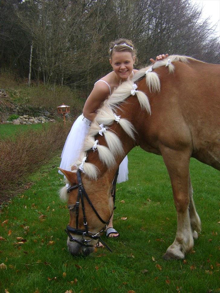 Haflinger Wonder - 5. Mig og Wonder til min konfirmation :D // Julie. billede 5