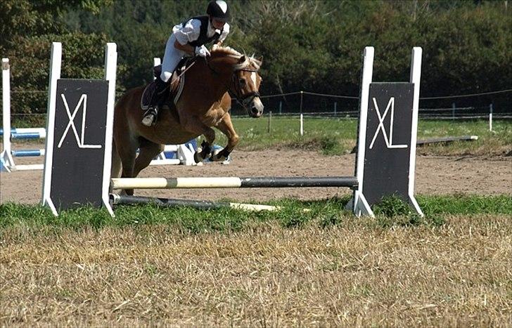 Haflinger Wonder - 8. Derby.. Da vi springer "ud" fra banen ;) // Malou. billede 8