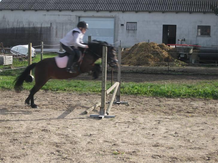 Dartmoor Guldklump<33   /Solgt/ - JeG eLsKeR aT, sPrInGe!!!!!!!!!!!!!!<3:) billede 11