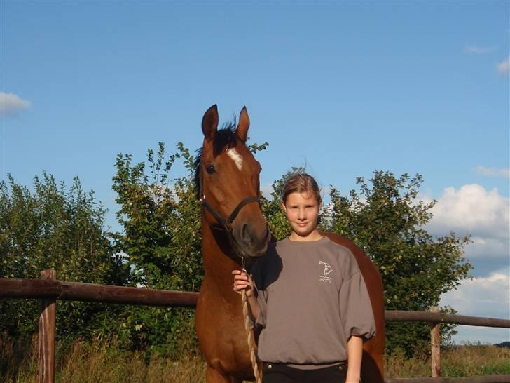 Fuldblod (XX) Little Wing - 14# Opstillingsbillede en sjælden gang, hvor han kunne løsrive sig fra græsset ! (Foto; Mor) billede 14