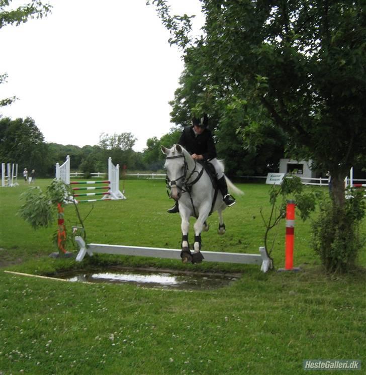 Anden særlig race Faruk  - Velkommen til Faruks profil. Kommenter og giv ham gerne en bedømmelse (: Her var vi gang med en LA spring. billede 1