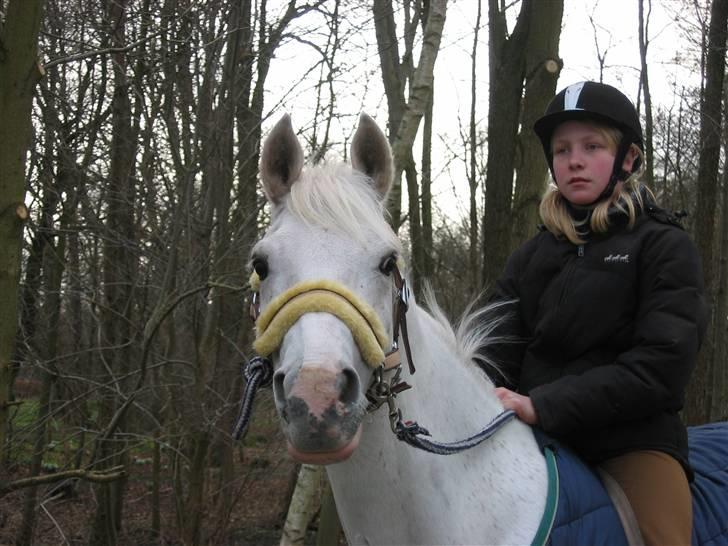 Anden særlig race Faruk  - Hold da op, jeg var godt nok lille dengang :)! jeg elsker dig pony! billede 4