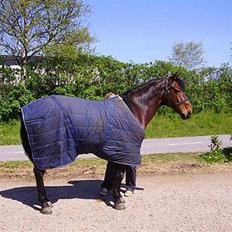 New Forest Cirkeline 