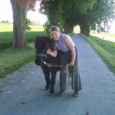 Shetlænder Bimmer R.I.P