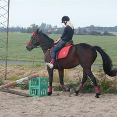 Traver Jette. *savnet* :/ <3.