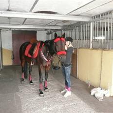 Traver Jette. *savnet* :/ <3.