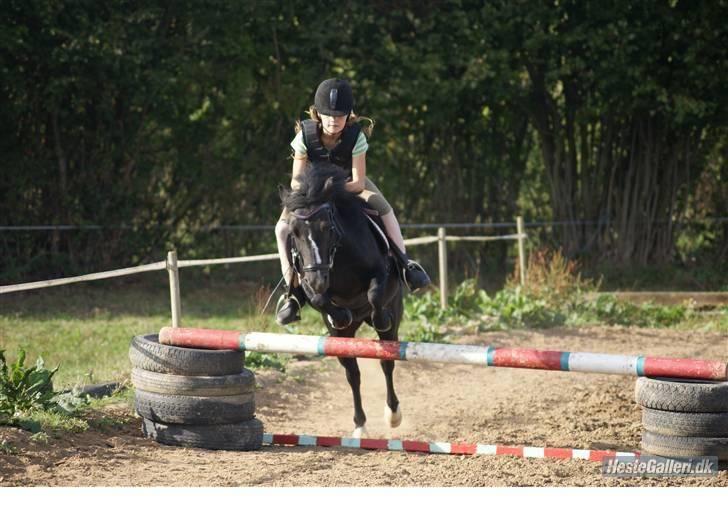 Anden særlig race FREJA billede 16