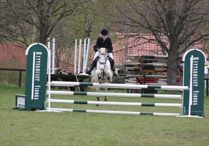 Anden særlig race Rødhætte - LB i VIR d. 8. maj 2010 (foto: min far) billede 20