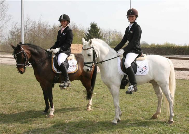 Welsh Pony af Cob-type (sec C) Hoelgårds Thowra (solgt) - Min søster Line og Jeg ved landsstævnet i Solrød billede 4