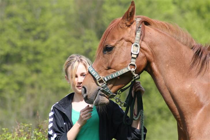 DSP Donna <3 SOLGT billede 14