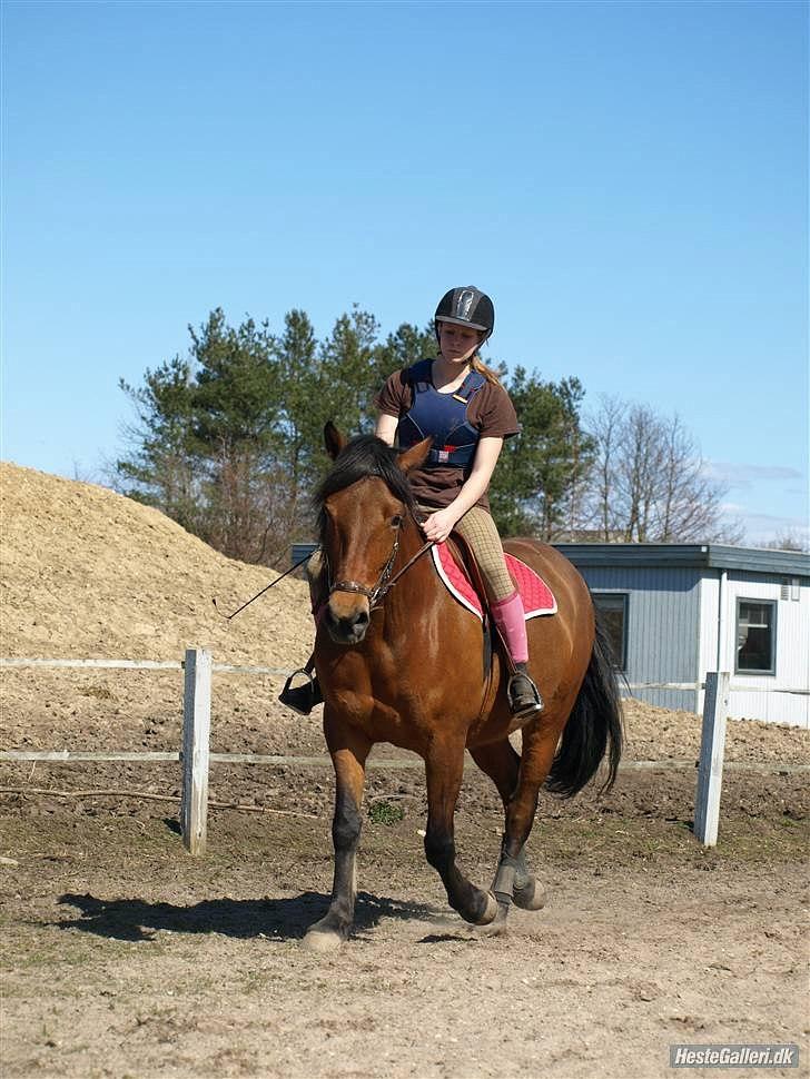 Anden særlig race » Akacie »Elsker dig <3 - 2) Du var mit livs glæde! du var der for mig når jeg var ked af det eller havde haft en dårlig dag, du fik mig til at se det lyse selv når det var mørk! ): <3 AKACIE jeg savner dig! ): <3 billede 3