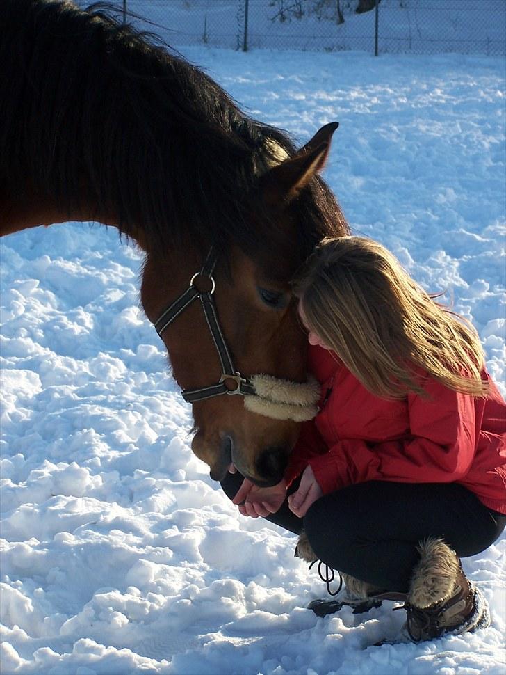 Anden særlig race » Akacie »Elsker dig <3 - 3) Du var mit livs glæde! du var der for mig når jeg var ked af det eller havde haft en dårlig dag, du fik mig til at se det lyse selv når det var mørk! ): <3 AKACIE jeg savner dig! ): <3 billede 4