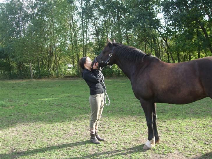 Anden særlig race Black (: (har redet) - kys til black (:  billede 11