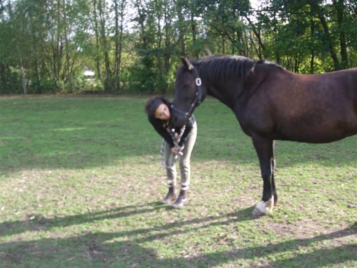 Anden særlig race Black (: (har redet) - min søde pige (:  billede 13