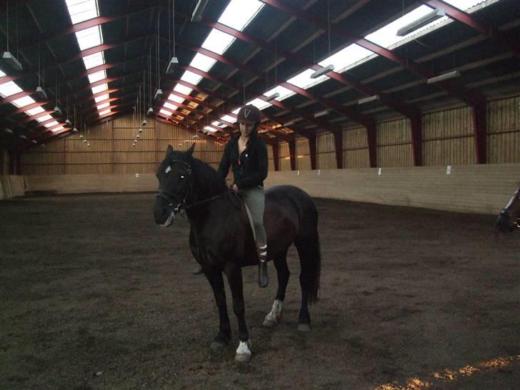 Anden særlig race Black (: (har redet) - fine pige (:  billede 14