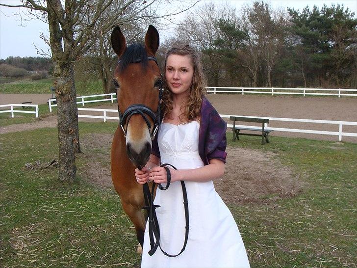 Anden særlig race Fernando B-pony - R.I.P... - konfirmation 25 april :) billede 12