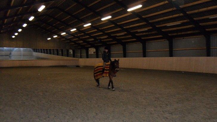 Anden særlig race Fernando B-pony - R.I.P... billede 17