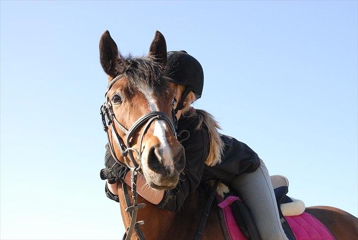 DSP Bakkelys Rozitta - #10 | Hygge dagen før stævne | Foto: Emilie billede 10