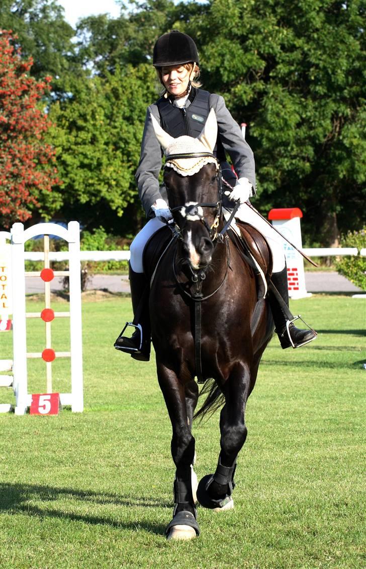 Anden særlig race Horsebjerg Massimou SOLGT - Stævne på VAl. Taget af Camilla Rosenlund / CR-FOTO billede 19