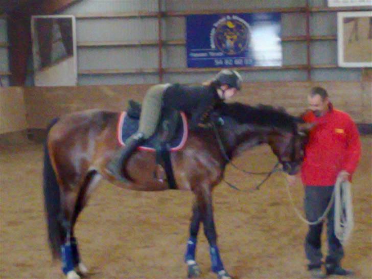 Dansk Varmblod Shawanna *R.I.P* - 1. gang jeg er/der er rytter på Shawanna (: dårlig kvalitet, jeg ved det. billede 9