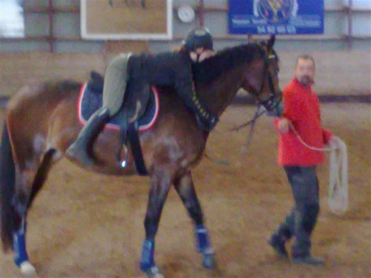 Dansk Varmblod Shawanna *R.I.P* - 1. gang jeg er/der er rytter på Shawanna (: dårlig kvalitet, jeg ved det.. billede 14