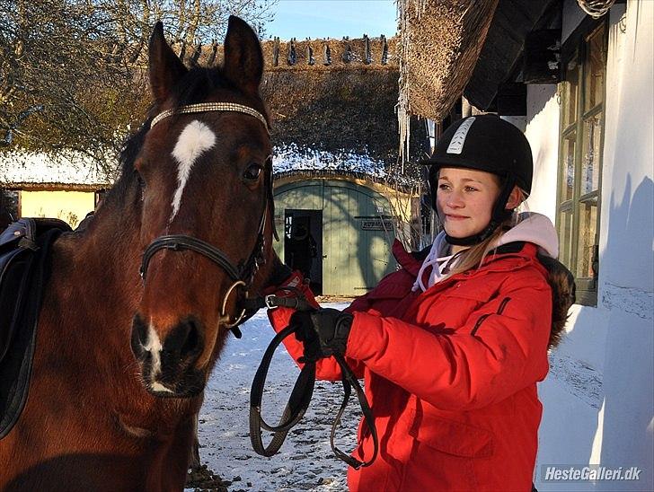 Anden særlig race | Indian Pride - Ingen er perfekte alene. Men sammen er vi perfekte <3 Du kan gøre mig glad bare ved selskabet af dig <3 Du gør mig glad! Du den eneste der tager mig til stjernerne <3 Hest, I love you, my dream<3<3 You make me happy <3  | Fotograf: Matilde billede 4