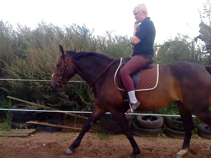 Anden særlig race flying maddie SOLGT billede 8