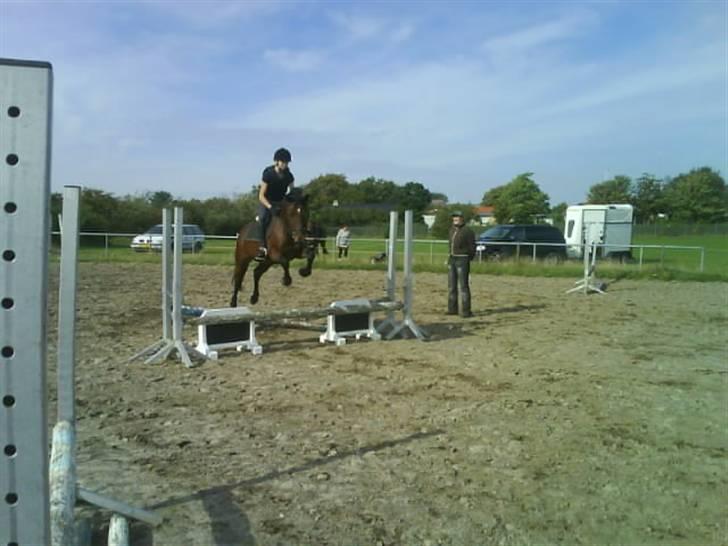 Anden særlig race | Bruno <3 -SOLGT- ); billede 7