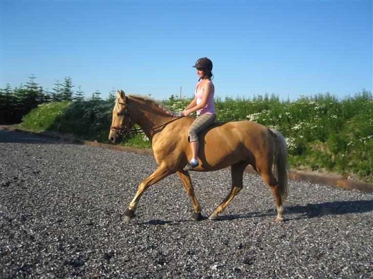 Palomino Golden Delicious R.I.P:'( - Har I nogensinde travet på en tønde? Det har jeg, og det er ikke nemt kan jeg så fortælle :P billede 11