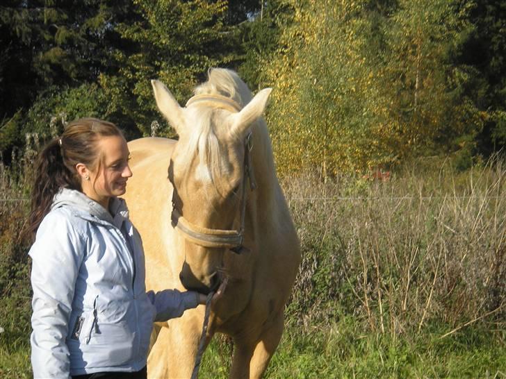 Palomino Golden Delicious R.I.P:'( - Dagen efter han kom hjem til mig - "hmm... hvem er du??" billede 17