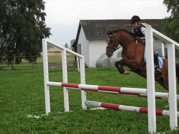 Anden særlig race Felipe<3 (solgt) - Sommer 2010: Nu er vi blevet meget bedre :-) billede 5