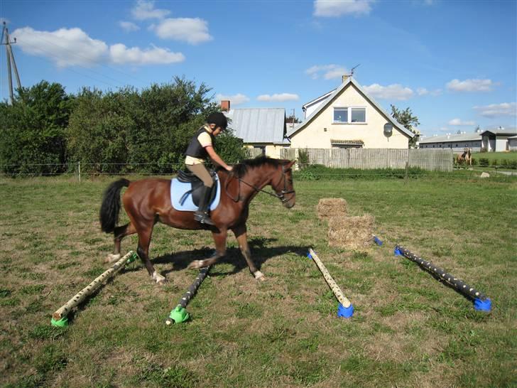 Anden særlig race Felipe<3 (solgt) - Så løfter vi benene. billede 10