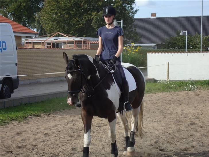 Anden særlig race Peanut<3 - så går vi pænt billede 14