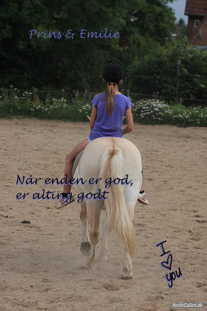 Fjordhest Prins - I miss u :'( - Når enden er god, er alting godt ;)  -Desværre er det bare slut nu :´/ Du vil altid være min skønne lille pony <3 billede 19