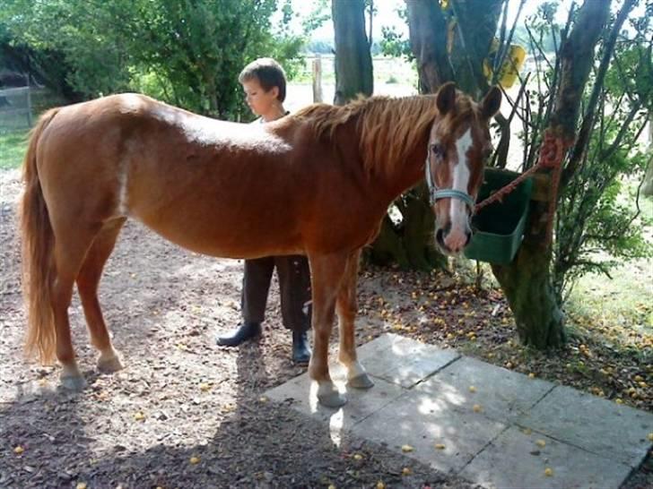 Anden særlig race Emma (R.I.P D':) - Emmelemme :D Aka Emma xD  billede 13