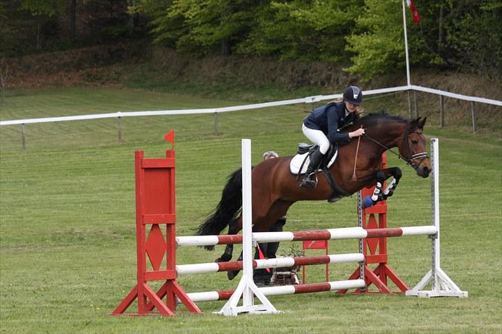 Anden særlig race Nikita  - Verdens sejeste Nikita pony :* Morsø 2010. - foto: Gitte Dahl. billede 6